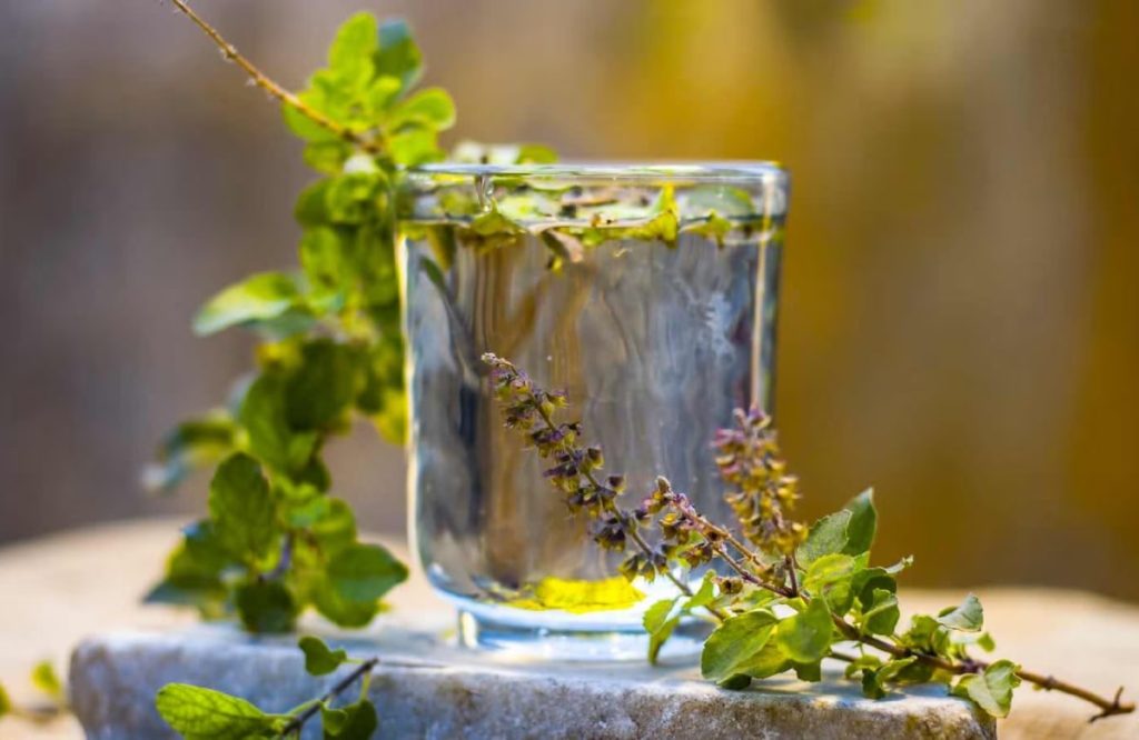 Health Benefits Of Tulsi