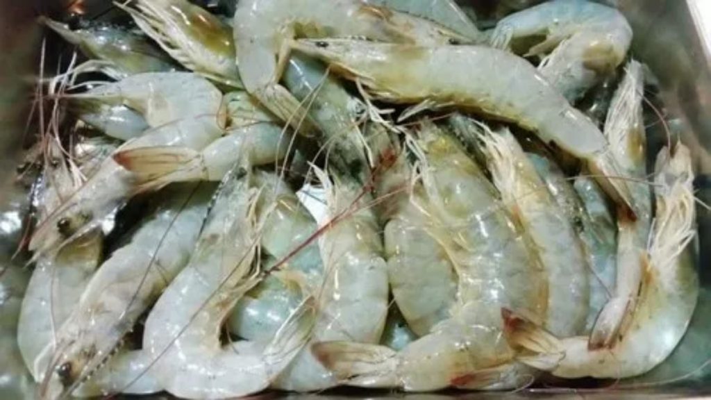 Prawns Market Value Decreased