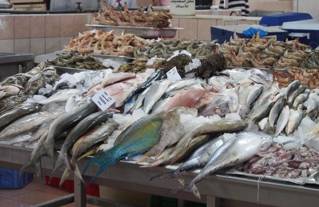 Lack Of Fish In UAE