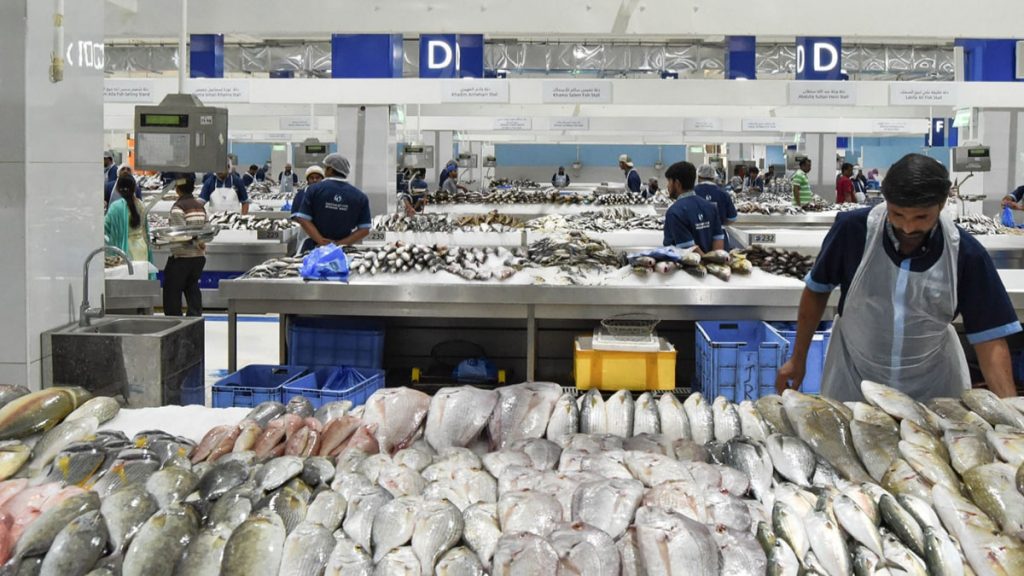 Lack Of Fish In UAE