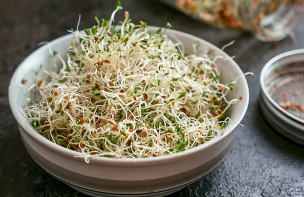  Sprouts Heal Benefits