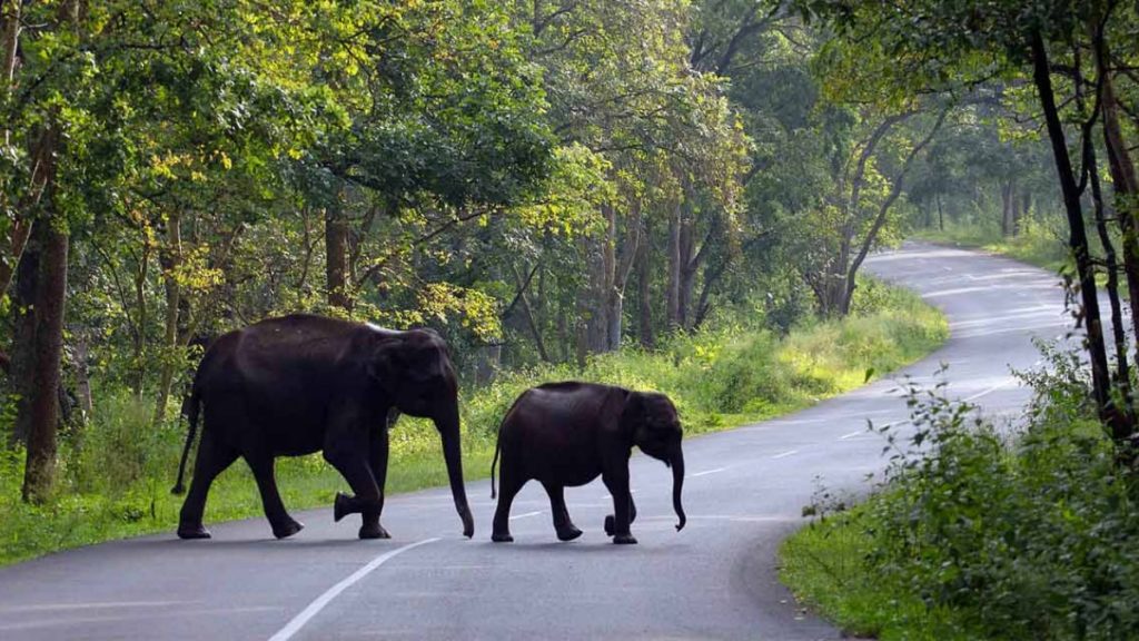 Wayanad Tourist Place Updates