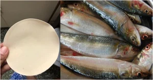 Sardine Fish Cleaning Easy Tip