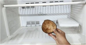 refrigetor