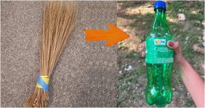 broom