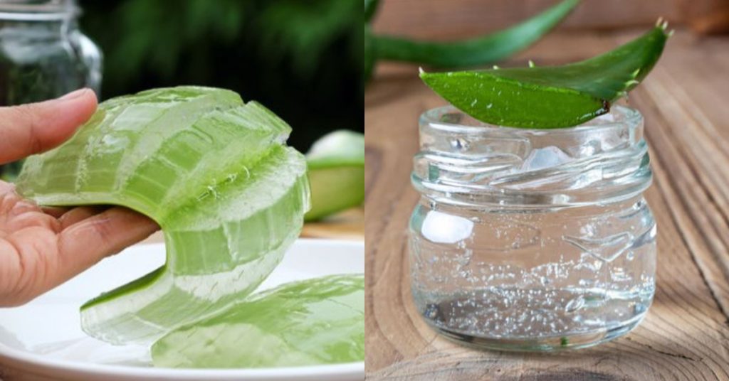 Alovera Jel Uesful Tip