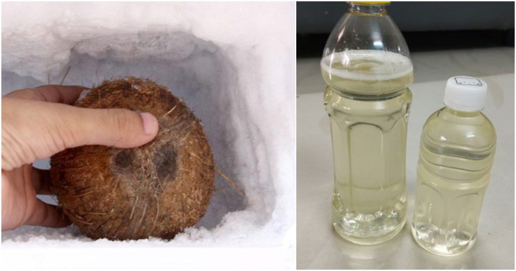 Virgin-Coconut-Oil-Making-Tip