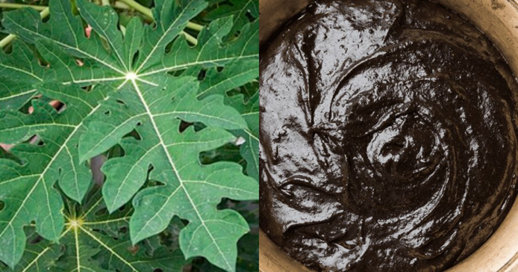 pappaya leaf