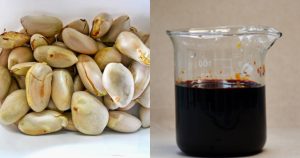 Natural Hair Dye Using Chakkakuru