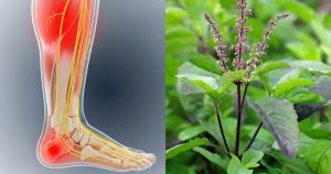 Restore the strength of your damaged nerves