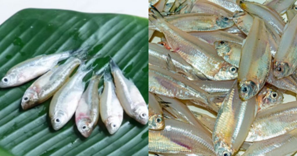 Fish Cleaning Secret