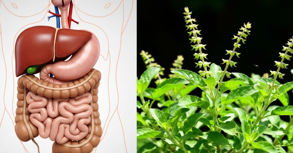 Remove-stool-retention-from-the-digestive-system