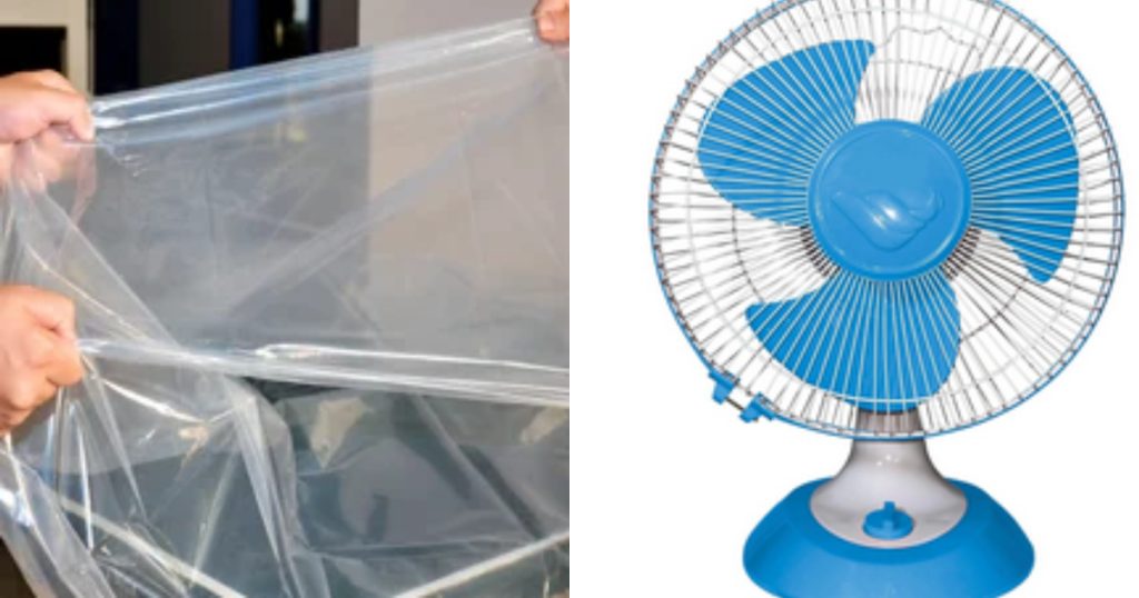 fan