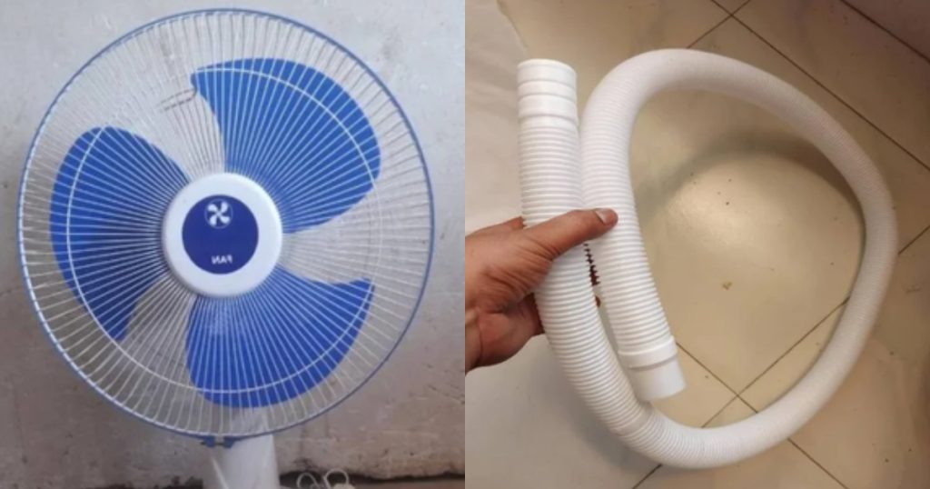 fan (2)