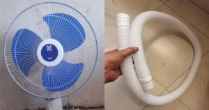 fan (2)