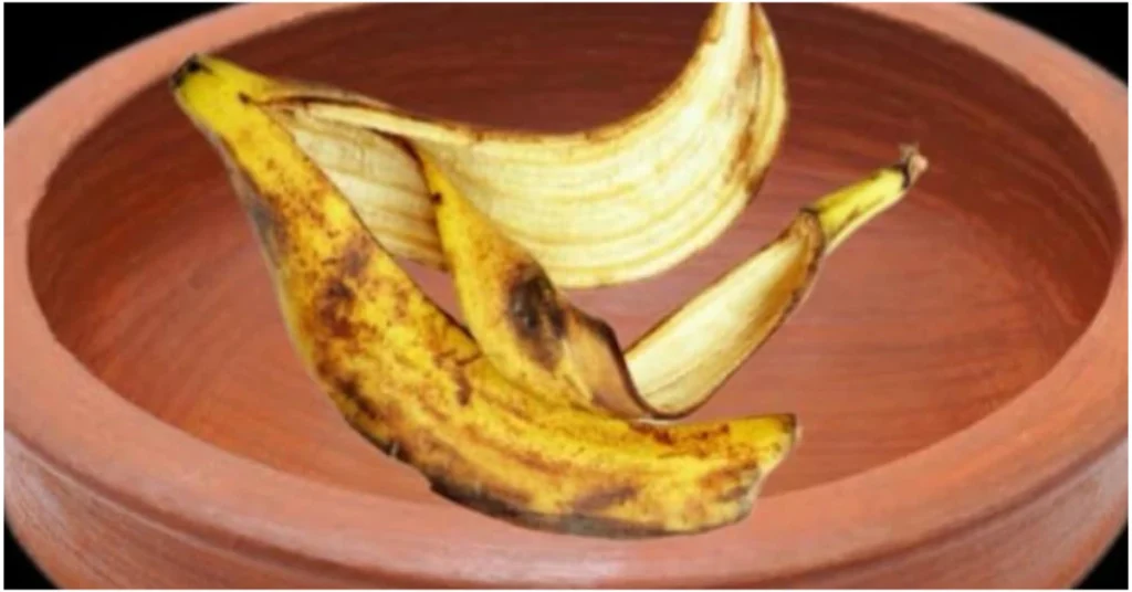 pot