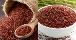 ragi