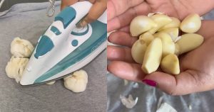 Garlic-Peel-Tips-Using-Waste-Malayalam1