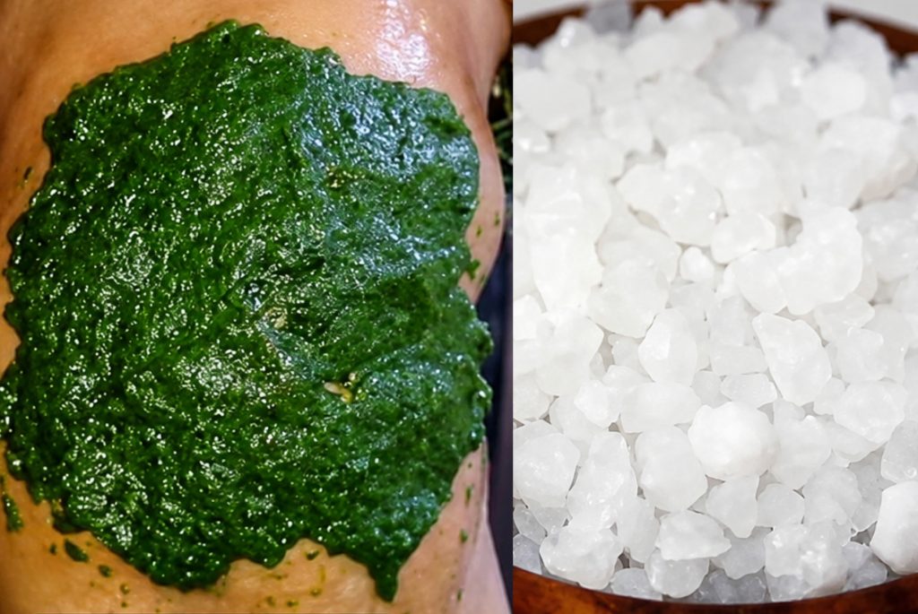 kerala prime