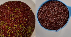 ragi (2)
