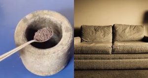 sofa