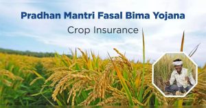 PRADHAN MANTRI FASAL BIMA YOJANA